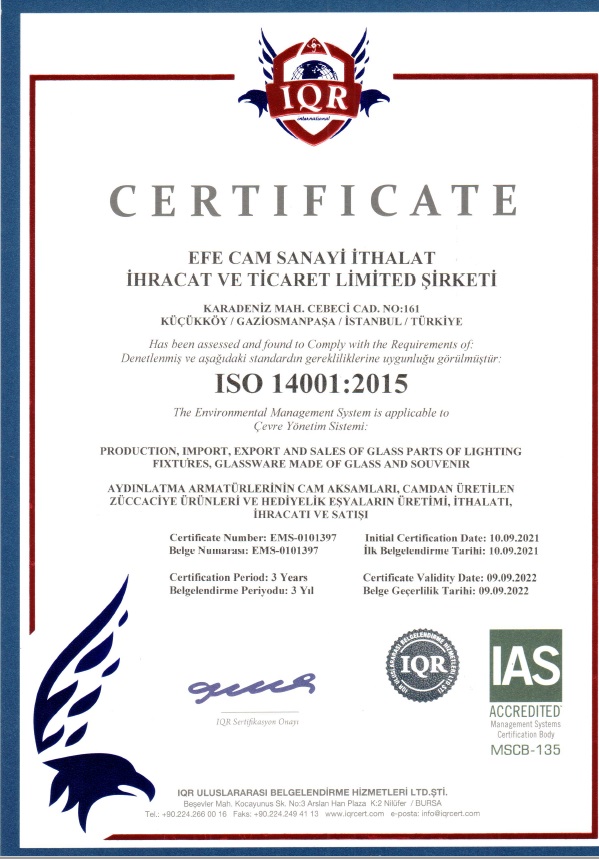 efecam certificate 14001
