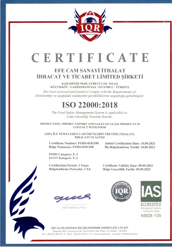 efecam certificate 22000