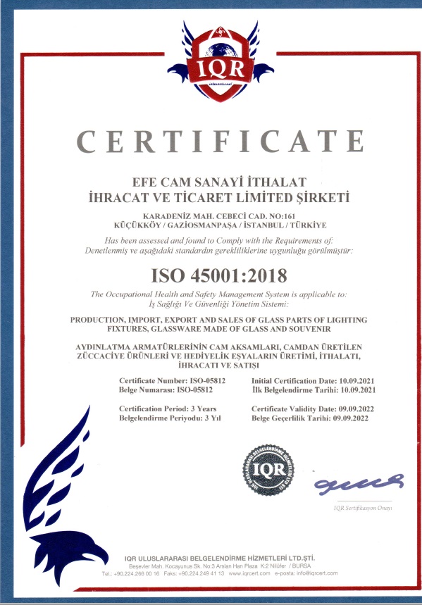 efecam certificate 45001